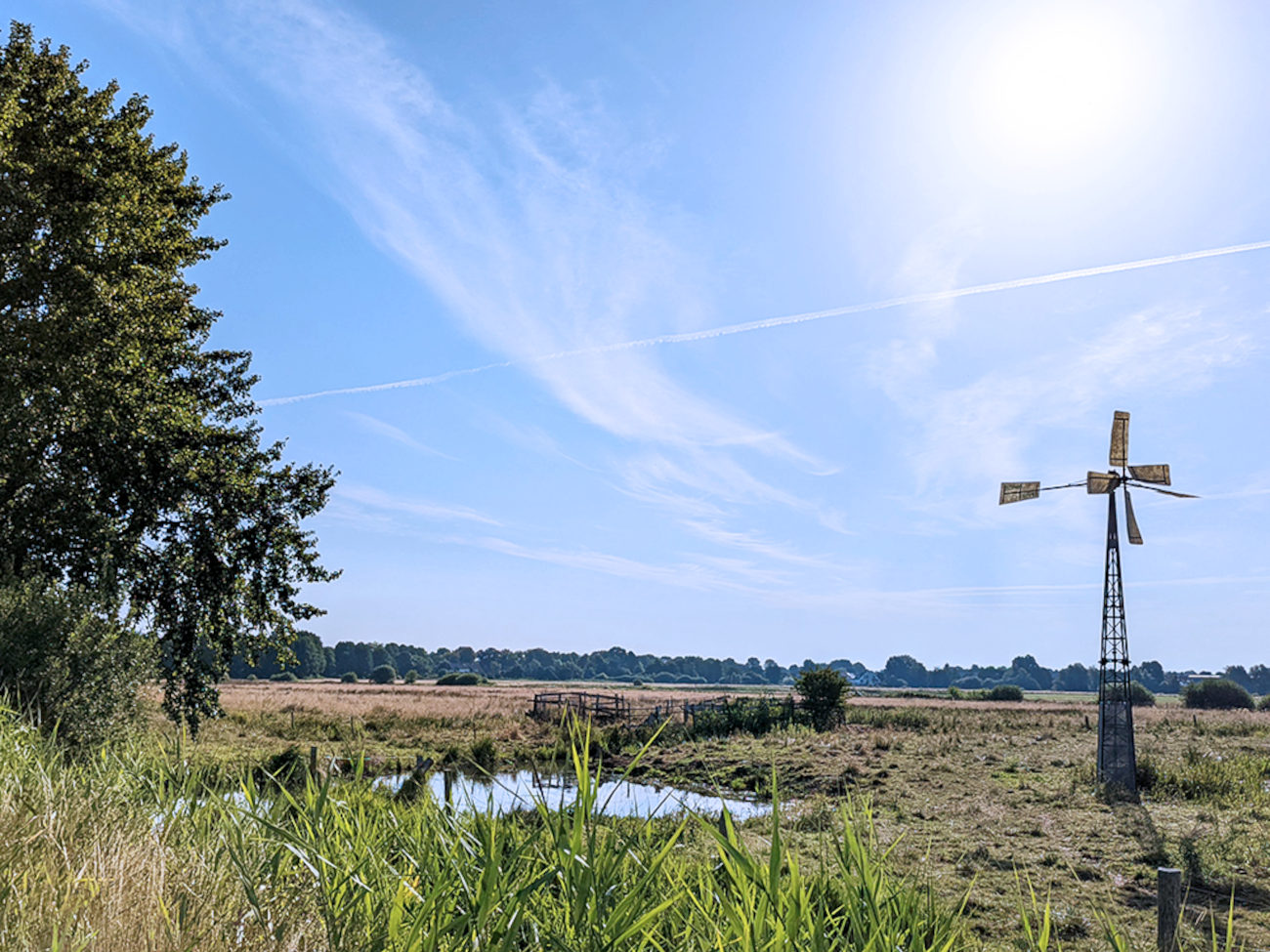 Die Natur im Blockland
