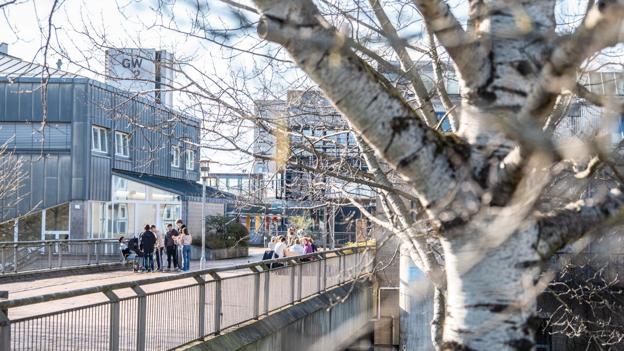 Im Vordergund sieht man einen Baum und im Hintergrund Menschen auf dem Boulevard in der Sonne grillen.