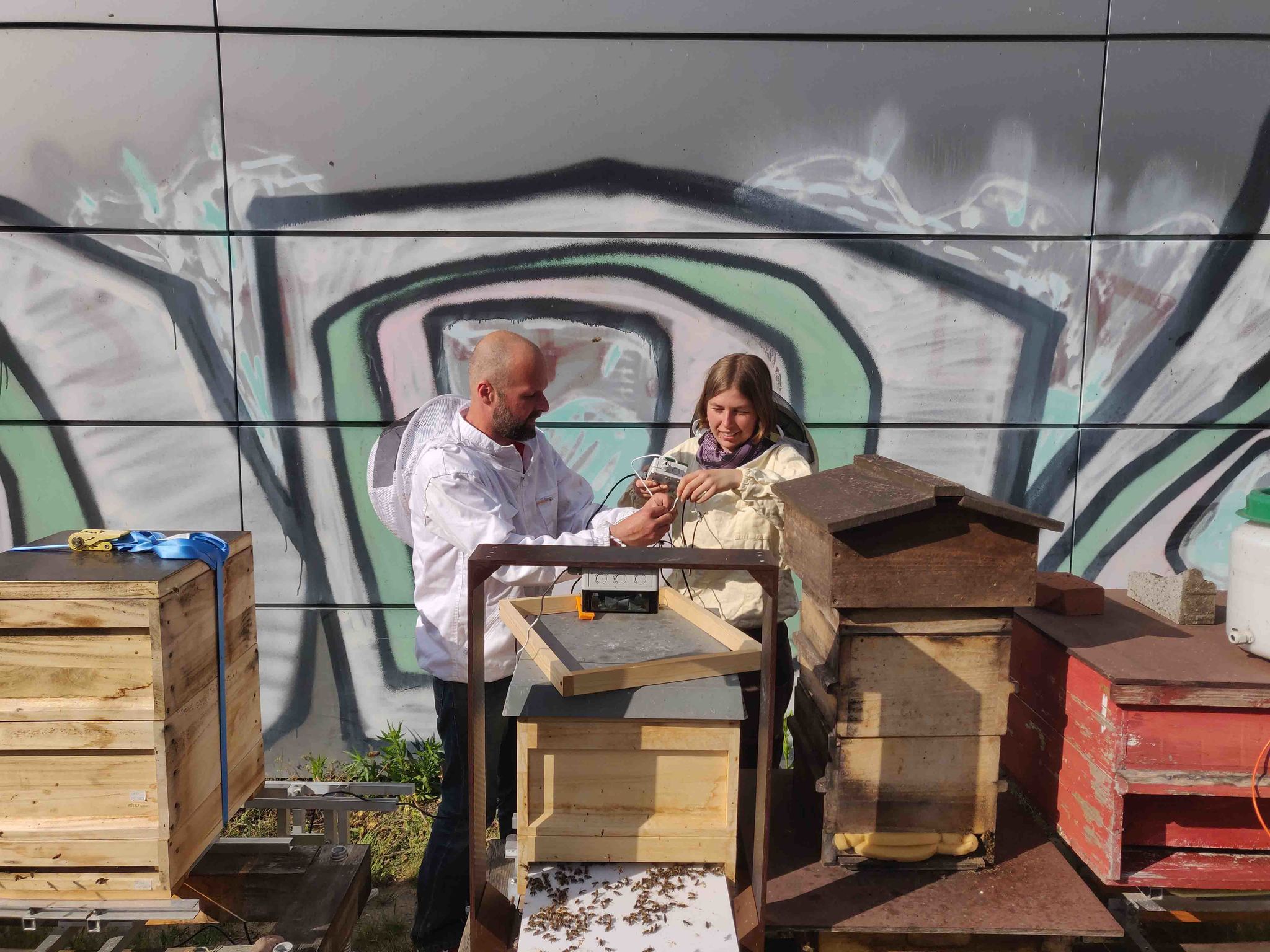The Bremen researchers Thorsten Kluß and Diren Senger next to the beehives at the University of Bremen. These hives are monitored with sensor technology.