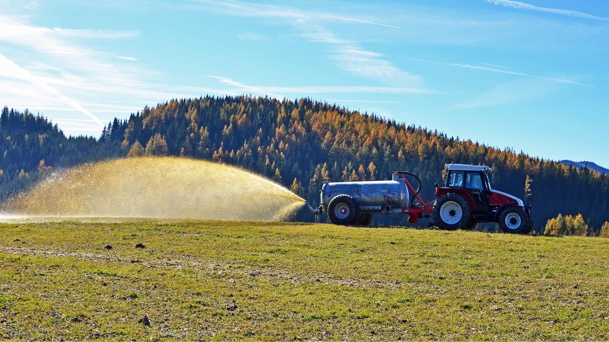 A red tractor fertilizes a large field. 