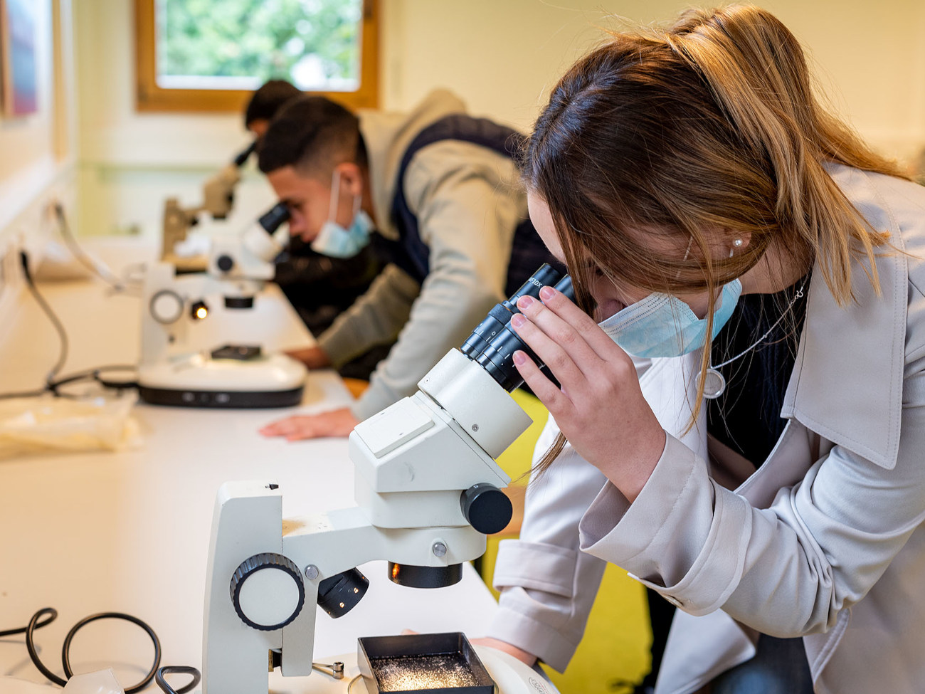 Pupils looking through a microscope.