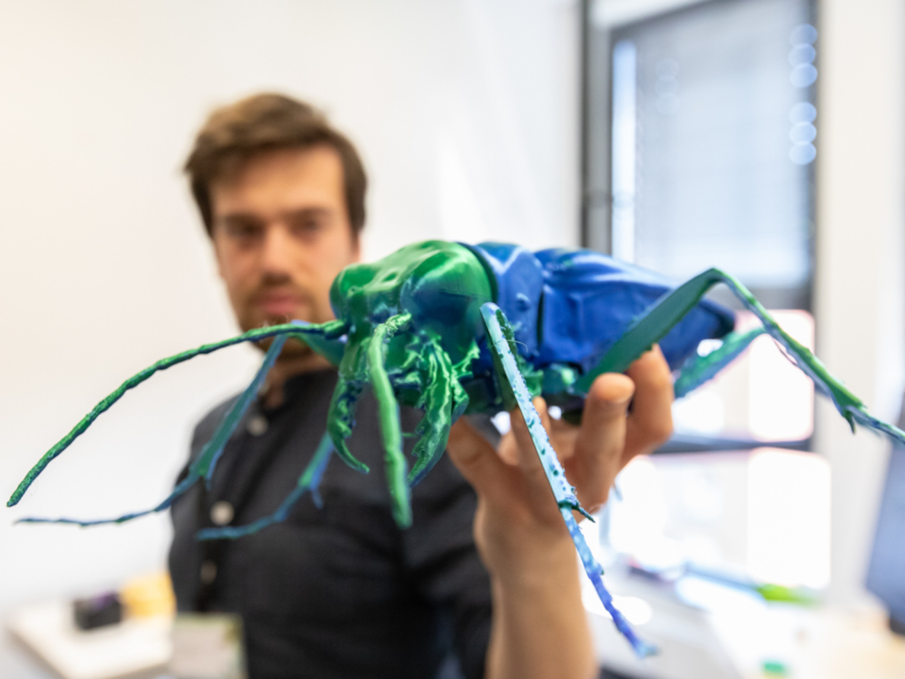 Eine Person hält ein 3D-Modell eines Insekts in die Kamera