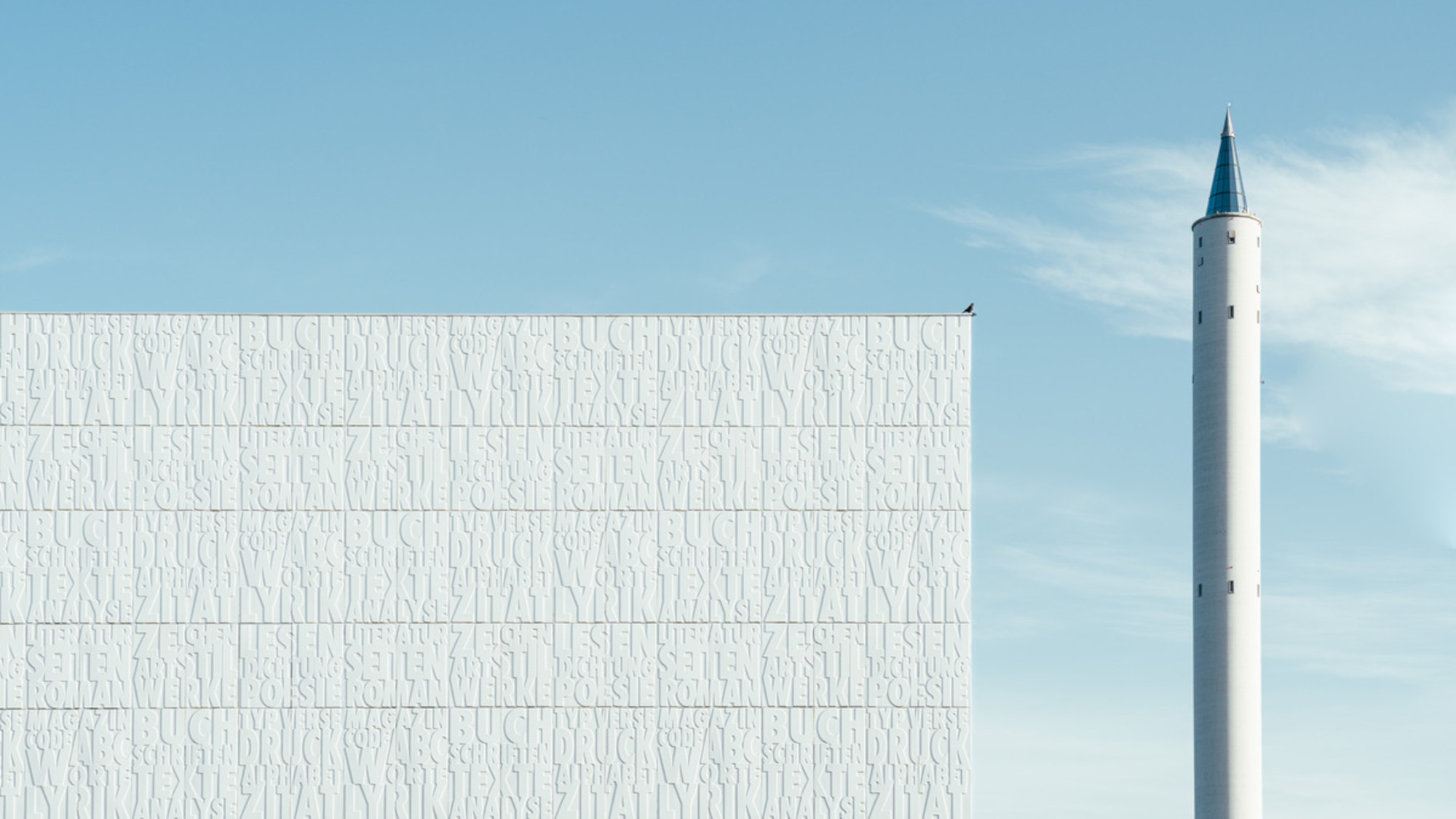 A bird sits on the roof of the university library and looks towards the Drop Tower.