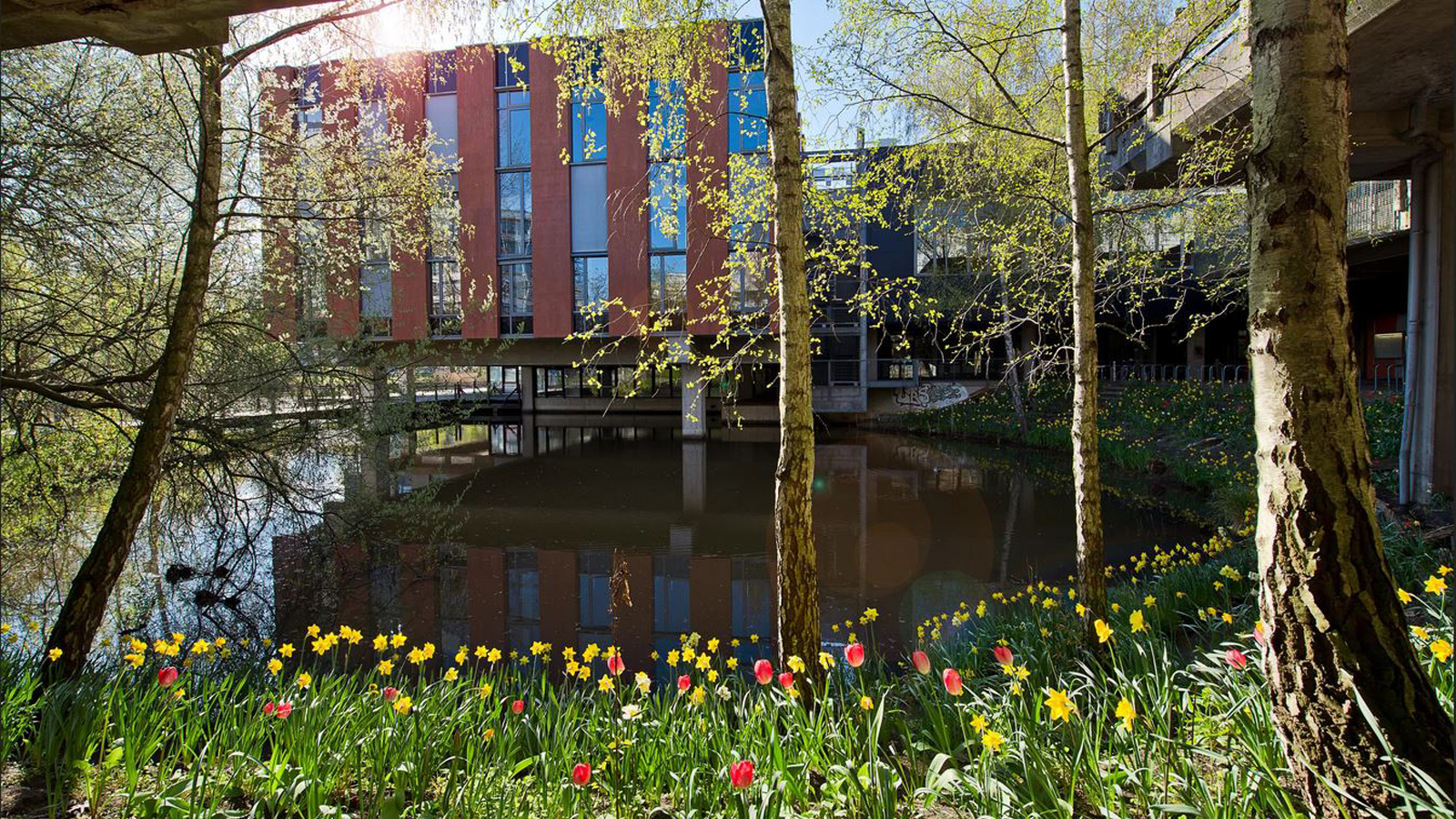 Universität Bremen