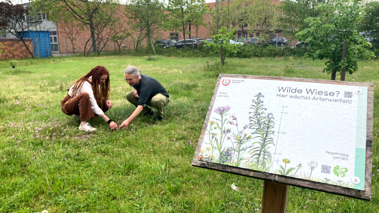 Marko Rohlfs and Lorena Kalvelage crouch in a meadow and look at the plants on the ground. In the foreground is a sign with information about the biodiversity project on campus.